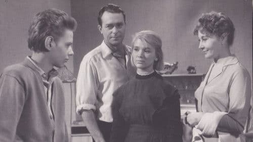 Дикая собака Динго Bild 8