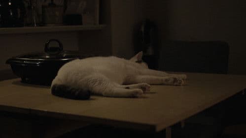 Ob wir schlafen oder wachen Bild 5