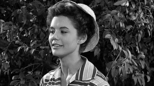 Mariti in città Bild 5