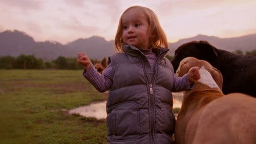 Post Tenebras Lux Bild 7