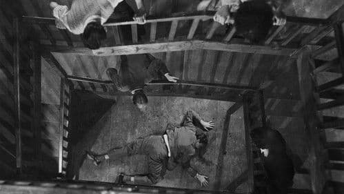 Presença de Anita Bild 1