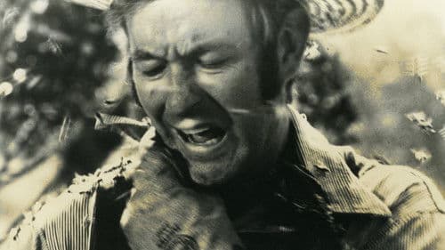 Mörderbienen greifen an Bild 1