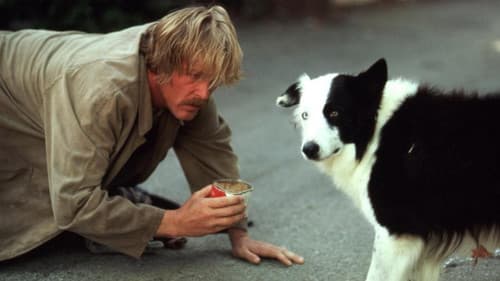 Zoff in Beverly Hills Bild 1