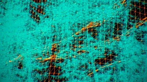 Visão do Paraíso Bild 2