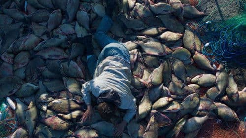 Der Parfumeur Bild 5