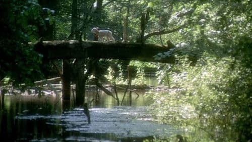 La Bête - Die Bestie Bild 2