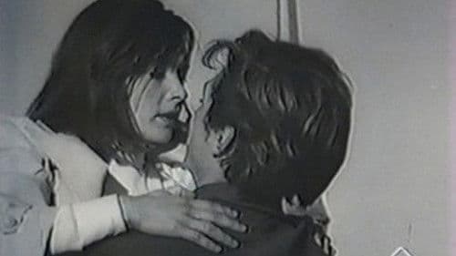 Проводы белых ночей Bild 1