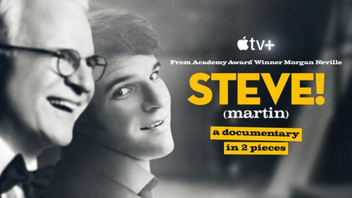 STEVE! (martin): Ein Porträt in zwei Teilen Bild 7