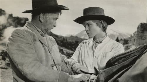 Schieß zurück, Cowboy Bild 3