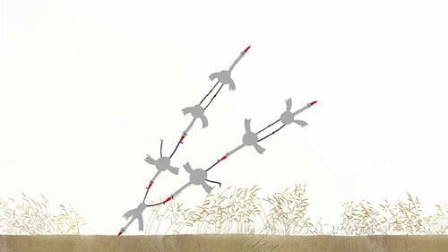 Rosa & Dara a jejich velké prázdninové dobrodružství Bild 2