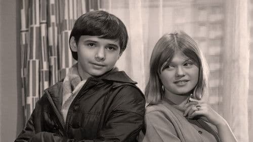 Meine Nachbarn – Deine Nachbarn Bild 2