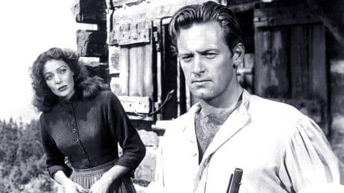 Ehe ohne Liebe Bild 1