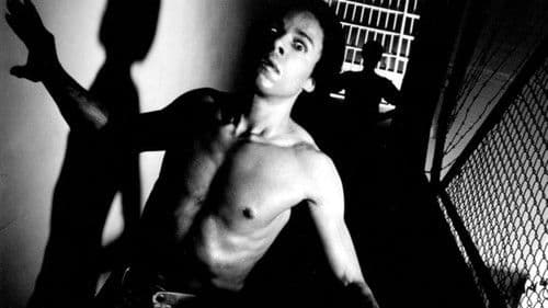 Penitentiary III - Knast Fighter Bild 1