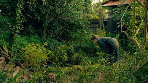 モリのいる場所 Bild 5