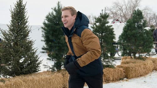 Eine zauberhafte Winterromanze Bild 6