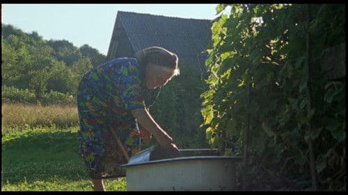 Adentro mío estoy bailando Bild 7