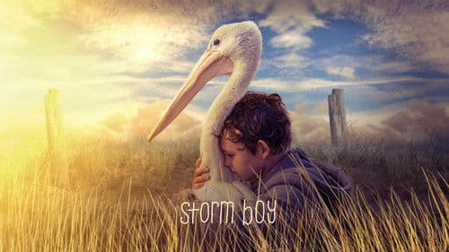 Storm Boy Bild 4