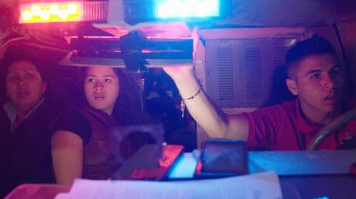 Midnight Family Bild 1