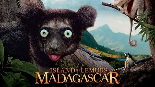 Wildes Madagaskar - Die Insel der Lemuren Bild 1