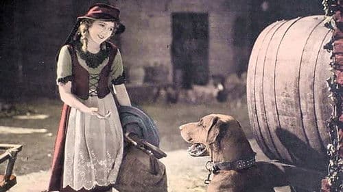 Through the Back Door Bild 7