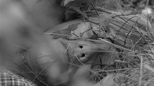 Hier hast du dein Leben Bild 5