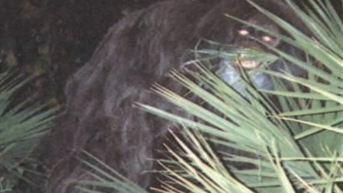 Southern Fried Bigfoot Bild 1