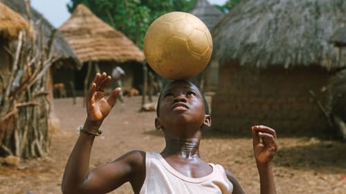 Bando und der goldene Fußball Bild 5