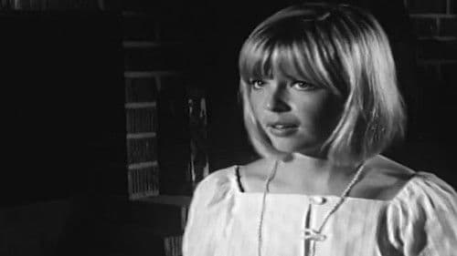 The Babysitter Bild 4