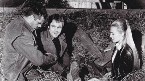 Hannibal Brooks Bild 2