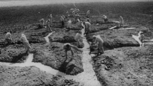 Родина электричества Bild 2