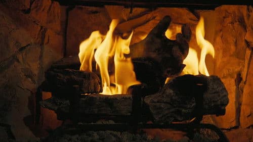 Fallout: Der Weihnachts-Ghul Bild 1