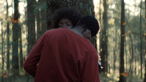 El jardín que soñamos Bild 1