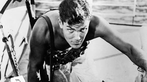 Sailor of the King Bild 1