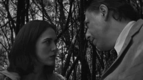 Spells and Magicians Chapter Five: The Miracle of Deforestation Bild 1