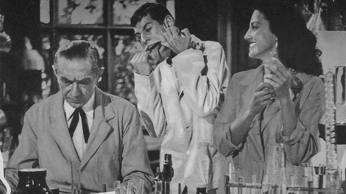 Bela Lugosi Meets a Brooklyn Gorilla Bild 2