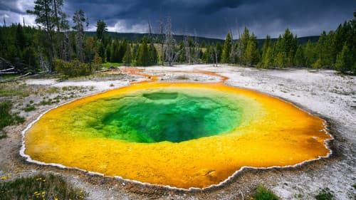 Mysteries of the Outdoors Bild 1