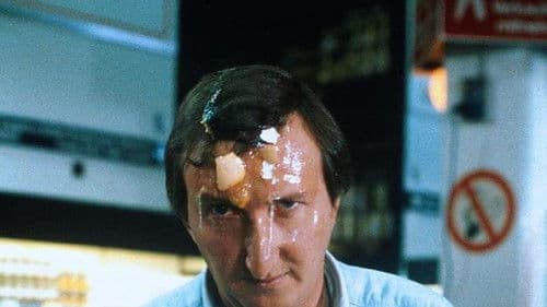 Die Senkrechtstarter Bild 2