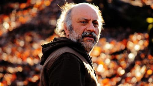 ماهی و گربه Bild 3