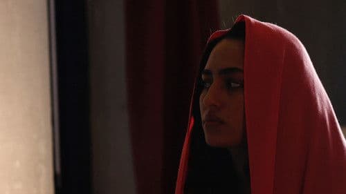 بلا موطن Bild 2