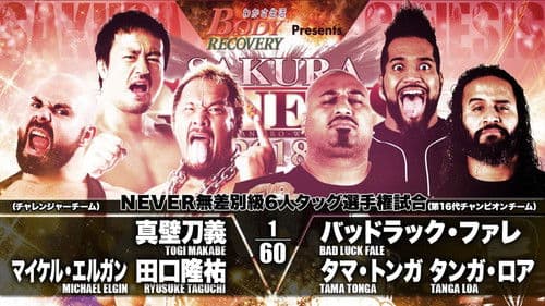 NJPW Sakura Genesis 2018 Bild 8