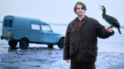 Der Todesvogel Bild 1