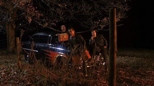 Manchmal kommen sie wieder Bild 6