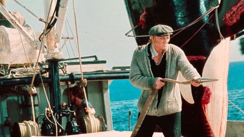 Orca - Der Killerwal Bild 7