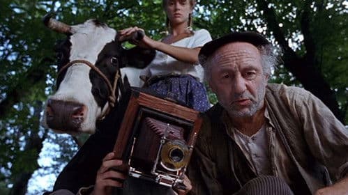 Vacas - Kühe Bild 5