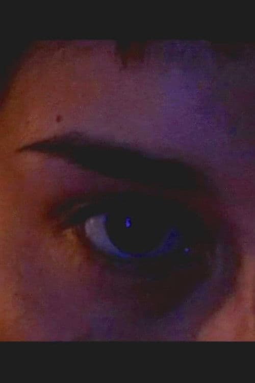 La Noche y el Universo