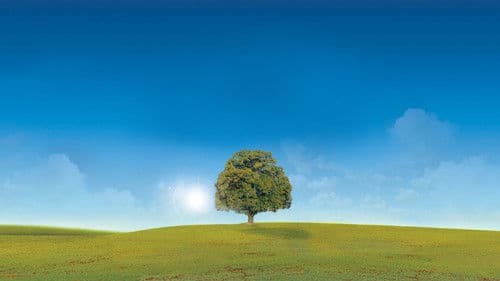 Who Do You Think You Are? Bild 6