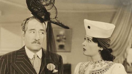 Hi Diddle Diddle Bild 1