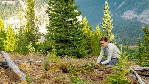 Abseits des Lebens Bild 8