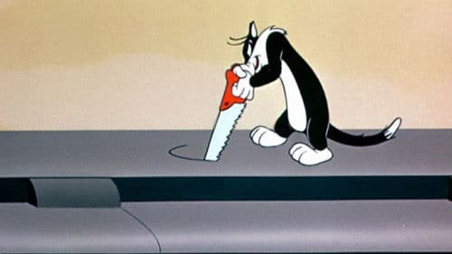 Alles einsteigen, bitte Bild 1