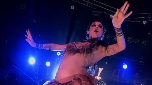 Panic! at the Disco: Live in Denver Bild 2